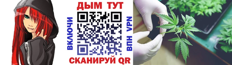 Конопля индика kraken сайт Удачный